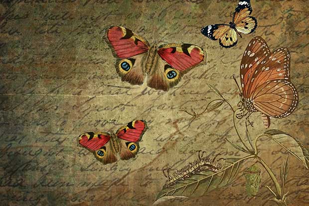 お世話になった人への贈り物にそえる