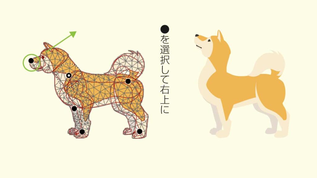 パペットワープツール
